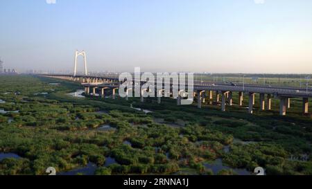 (170704) -- DAQING, 4. Juli 2017 -- Foto aufgenommen am 4. Juli 2017 zeigt die Landschaft des Longfeng-Feuchtgebietes in der Stadt Daqing, nordöstliche chinesische Provinz Heilongjiang. ) (Ry) CHINA-HEILONGJIANG-DAQING-LANDSCHAFT (CN) WangxKai PUBLICATIONxNOTxINxCHN Daqing 4. Juli 2017 Foto aufgenommen AM 4. Juli 2017 zeigt die Landschaft des Long Feng Wetland Nature Reserve in Daqing City Nordostchina S Heilongjiang Provinz Ry China Heilongjiang Daqing Landschaft CN WangxKai PUBLATINxCHN Stockfoto