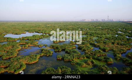 (170704) -- DAQING, 4. Juli 2017 -- Luftaufnahme vom 4. Juli 2017 zeigt die Landschaft des Longfeng-Feuchtgebietes in der Stadt Daqing, nordöstliche chinesische Provinz Heilongjiang. ) (Ry) CHINA-HEILONGJIANG-DAQING-LANDSCHAFT (CN) WangxKai PUBLICATIONxNOTxINxCHN Daqing 4. Juli 2017 Luftaufnahme aufgenommen AM 4. Juli 2017 zeigt die Landschaft des Long Feng Wetland Naturschutzgebiets in der Stadt Daqing Nordostchina S Heilongjiang Provinz Ry China Heilongjiang Daqing Landschaft CN WangxKai PUNOBLATINxCHNxCHN Stockfoto