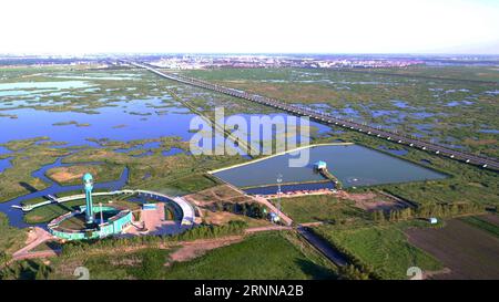 (170704) -- DAQING, 4. Juli 2017 -- Luftaufnahme vom 3. Juli 2017 zeigt die Landschaft des Longfeng-Feuchtgebietes in der Stadt Daqing, nordöstliche chinesische Provinz Heilongjiang. ) (Ry) CHINA-HEILONGJIANG-DAQING-LANDSCHAFT (CN) WangxKai PUBLICATIONxNOTxINxCHN Daqing 4. Juli 2017 Luftaufnahme aufgenommen AM 3. Juli 2017 zeigt die Landschaft des Long Feng Wetland Naturschutzgebiets in der Stadt Daqing Nordostchina S Heilongjiang Provinz Ry China Heilongjiang Daqing Landschaft CN WangxKai PUNOBLATINxCHNxCHN Stockfoto