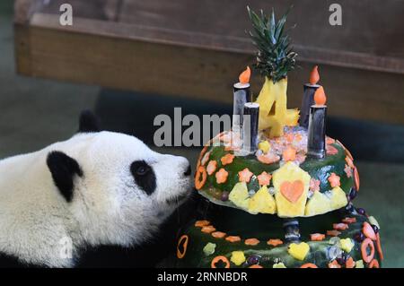 (170706) -- TAIPEI, 6. Juli 2017 -- Riesenpanda Yuan Zai genießt einen Geburtstagskuchen im Taipei Zoo in Taipei, Südostchinas Taiwan, 6. Juli 2017. Der Zoo feierte am Donnerstag den vierten Geburtstag von Yuan Zai . ) (wyo) CHINA-TAIPEI-RIESE PANDA-GEBURTSTAG (CN) ZhouxMi PUBLICATIONxNOTxINxCHN Taipei 6. Juli 2017 Giant Panda Yuan Zai genießt einen Geburtstagskuchen IM Taipei Zoo in Taipei Südostchina S TAIWAN 6. Juli 2017 der Zoo feierte AM Donnerstag den vierten Geburtstag von Yuan Zai wyo China Taithei ZhouxMi PUBLICATIONxNOTxINxCHN Stockfoto