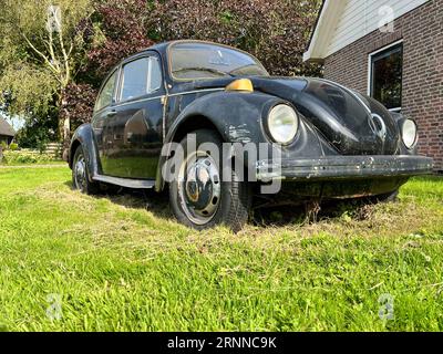 Berkhout, Niederlande. 20. Juli 2023. Ein alter VW-Käfer. Hochwertige Fotos Stockfoto