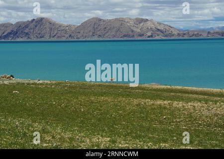 (170708) -- NAGQU, 8. Juli 2017 -- Eine tibetische Antilope wird am Serling TSO-See in Nagqu, südwestchinesische Autonome Region Tibet, 6. Juli 2017 gesehen. ) (wyo) CHINA-NAGQU-SERLING TSO-SEENLANDSCHAFT (CN) LiuxDongjun PUBLICATIONxNOTxINxCHN Nagqu 8. Juli 2017 ein tibetisches Antilopen IST Seen der Serling-TSO-See in Nagqu Südwestchina S Tibet Autonome Region 6. Juli 2017 wyo China Nagqu Serling NOTSO-See CN-LichatxBLINJun-Landschaft CN PUxTIONCHATJun Stockfoto