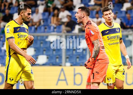 Reggio Emilia, Italien. September 2023. Täuschung von Verona während des Spiels Sassuolo gegen Hellas Verona FC, italienische Fußballserie A in Reggio Emilia, Italien, 01. September 2023 Credit: Independent Photo Agency/Alamy Live News Stockfoto