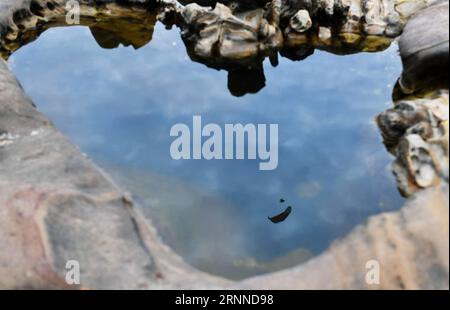 (170709) -- PEKING, 9. Juli 2017 -- die Figur eines Gleitschirmfliegers spiegelt sich auf einem Teich im Yehliu Geopark in Xinbei City, Taiwan im Südosten Chinas, 8. Juli 2017. ) WÖCHENTLICHE AUSWAHL VON XINHUA FOTO ZhouxMi PUBLICATIONxNOTxINxCHN Peking 9. Juli 2017 die Figur eines Gleitschirms WIRD AUF einem Teich im Yehliu Geopark in Xinbei Stadt Südostchina S TAIWAN 8. Juli 2017 wöchentliche Auswahl von XINHUA Photo ZhouxMi PUBLICATIONxNOTxINxCHN reflektiert Stockfoto