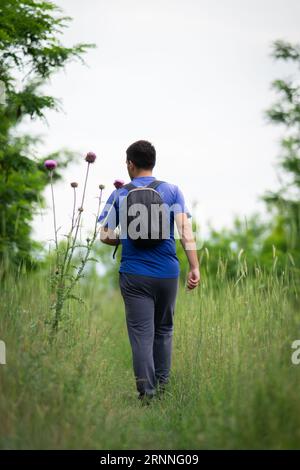 Professionelles Porträtfoto eines jungen Mannes mit Rucksack, der in einem Wald spaziert, hohes Gras um ihn herum, Bild von hinten Stockfoto