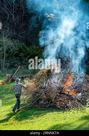 Mann, der das Gartenfeuer des Baumschneidens und der Äste überwacht Stockfoto