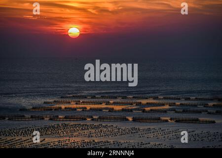 (170723) -- PEKING, 23. Juli 2017 -- Foto vom 20. Juli 2017 zeigt die Sonnenuntergangslandschaft auf den Nanji-Inseln in der ostchinesischen Provinz Zhejiang. Der Archipel, eines von fünf Chinas ersten Meeresschutzgebieten, auch bekannt für seine himmlische Landschaft, befindet sich in der Touristensaison. ) (clq) WÖCHENTLICHE AUSWAHL VON XINHUA-FOTO XuxYu PUBLICATIONxNOTxINxCHN Peking 23. Juli 2017 Foto aufgenommen AM 20. Juli 2017 zeigt die Sonnenuntergangslandschaft auf den NANJI-Inseln in der ostchinesischen Provinz Zhejiang der Archipel eines von fünf chinesischen S First Navy Nature Reserves, in dem SICH die himmlische Landschaft BEFINDET die Touristensaison CLQ W Stockfoto