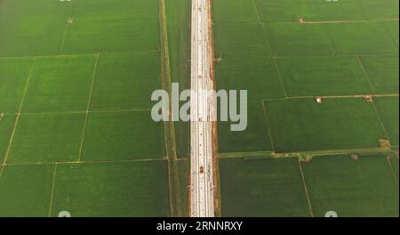 (170727) -- SHENYANG, 27. Juli 2017 -- Foto vom 11. Juli 2017 zeigt die Baustelle der Xinglongdian-Brücke der Peking-Shenyang-Hochgeschwindigkeitsbahn in der nordöstlichen chinesischen Provinz Liaoning. Die Hochgeschwindigkeitsbahn Peking-Shenyang verbindet Chinas Hauptstadt Peking mit der Provinzhauptstadt Shenyang Liaoning und ist etwa 700 km lang und mit einer Geschwindigkeit von 350 km/h ausgelegt. Die Arbeiten am Eisenbahnprojekt Peking-Shenyang begannen 2014. Und es wird erwartet, dass es bis Ende 2018 abgeschlossen sein wird. )(WSW) CHINA-LIAONING-BEIJING-SHENYANG HOCHGESCHWINDIGKEITSBAHNBAU (CN) YANGXQING PUBL Stockfoto