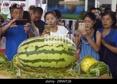 170727) -- SHENYANG, 27. Juli 2017 -- Bürger schauen sich eine 63,5 Kilogramm schwere Wassermelone an, die auf der 10. Internationalen Landwirtschaftsausstellung der Provinz Liaoning in Shenyang, der Hauptstadt der nordöstlichen Provinz Liaoning, am 27. Juli 2017 ausgestellt wurde. Die Ausstellung mit 1.500 Unternehmen aus dem in- und Ausland zieht eine große Zahl von Bürgern an. ) (lxx) CHINA-LIAONING-AGRICULTURAL EXPO(CN) LongxLei PUBLICATIONxNOTxINxCHN Shenyang Juli 27 2017 Bürger Schauen Sie sich eine 63 5 Kilogramm Wassermelone AN, die in der 10. Internationalen landwirtschaftlichen Exposition der Provinz Liaoning in der Hauptstadt von Shenyang, Nort, gezeigt wird Stockfoto