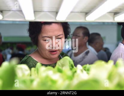 170727) -- SHENYANG, 27. Juli 2017 -- Bürger umgeben sich, um die Fabrik in der 10. Internationalen Landwirtschaftsausstellung der Provinz Liaoning in Shenyang, der Hauptstadt der nordöstlichen Provinz Liaoning, zu beobachten, 27. Juli 2017. Die Ausstellung mit 1.500 Unternehmen aus dem in- und Ausland zieht zahlreiche Bürger an. Long Lei) (lxx) CHINA-LIAONING-AGRICULTURAL EXPO(CN) lonkä PUBLICATIONxNOTxINxCHN Shenyang Juli 27 2017 Citizens Surround, um die Fabrik in der 10. Internationalen landwirtschaftlichen Exposition der Provinz Liaoning in der Hauptstadt Shenyang im Nordosten Chinas zu beobachten Stockfoto