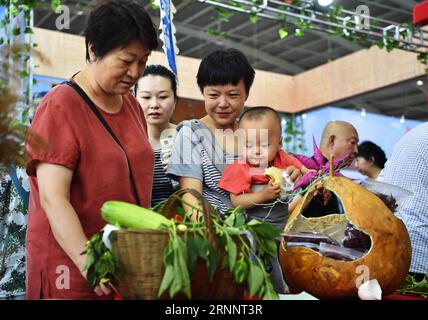 170727) -- SHENYANG, 27. Juli 2017 -- Bürger schauen sich die Produkte an, die auf der 10. Internationalen Landwirtschaftsausstellung der Provinz Liaoning in Shenyang, der Hauptstadt der nordöstlichen Provinz Liaoning, am 27. Juli 2017 ausgestellt wurden. Die Ausstellung mit 1.500 Unternehmen aus dem in- und Ausland zieht eine große Zahl von Bürgern an. ) (lxx) CHINA-LIAONING-AGRICULTURAL EXPO(CN) LongxLei PUBLICATIONxNOTxINxCHN Shenyang Juli 27 2017 Bürger Schauen Sie sich die Produkte AN, die in der 10. Internationalen landwirtschaftlichen Exposition der Provinz Liaoning in Shenyang, Hauptstadt von Nordostchina S Liaoning, gezeigt wurden Stockfoto