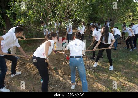 (170731) -- HANGZHOU, 31. Juli 2017 -- Jugendvertreter von Zhejiang und Südchinas Hong Kong Pflanzen Bäume an der Zhejiang Universität in Hangzhou Stadt, Hauptstadt der ostchinesischen Provinz Zhejiang, 31. Juli 2017. Der Austausch von Jugendlichen aus Zhejiang und Hongkong anlässlich des 20. Jahrestages der Rückkehr Hongkongs ins Mutterland begann am 30. Juli in Zhejiang und wird bis zum 4. August dauern. Etwa 2.000 Jugendliche aus Hongkong nahmen an der Aktivität Teil. ) (lxx) CHINA-HANGZHOU-HONG KONG-20th ANNIVERSARY (CN) WengxXinyang PUBLICATIONxNOTxINxCHN Hangzhou Juli 31 2017 Youth Repr Stockfoto