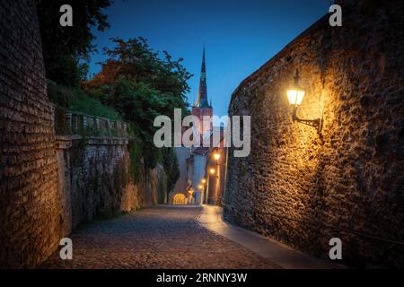 Long Leg Gate Tower und St. OLAF-Kirche in der Nacht - Tallinn, Estland Stockfoto