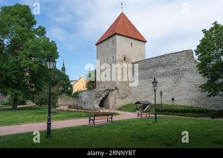 Jungfernturm - Tallinn, Estland Stockfoto