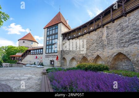 Dänischer Königsgarten mit Jungfrauenturm und Kiek im Festungsmuseum de Kok - Tallinn, Estland Stockfoto