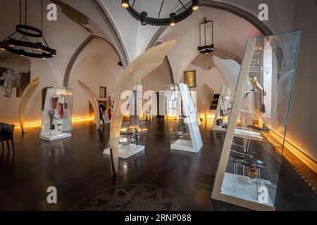 Das Estnische Geschichtsmuseum - die große Gildenhalle - Tallinn, Estland Stockfoto