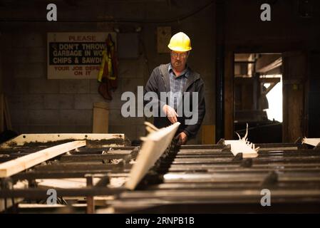 (170819) -- TORONTO (KANADA), 19. August 2017 -- Ein Arbeiter bearbeitet am 16. August 2017 einen Vorstand bei einem Holzhersteller der Murray Brothers Lumber Company in Ontario, Kanada. Die Vereinigten Staaten eröffneten am Mittwoch die 23 Jahre alten Neuverhandlungen über das Nordamerikanische Freihandelsabkommen (NAFTA) mit einer Erklärung, dass sie größere Änderungen des Abkommens wünschen, die das Handelsgleichgewicht verschieben. Die kanadischen Geschäftsinhaber hoffen jedoch, dass die US-Verhandlungsführer aufgeschlossen sind, um den derzeitigen Fluss von Waren und Arbeitnehmern über die Grenze aufrechtzuerhalten, wenn nicht sogar zu verbessern. Fehden über Weichholzholz sind ein wiederkehrendes p Stockfoto