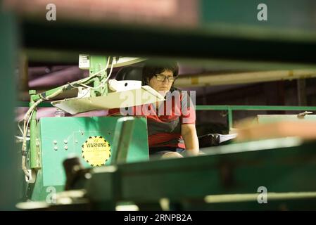 (170819) -- TORONTO (KANADA), 19. August 2017 -- Ein Arbeiter führt am 16. August 2017 Eine Qualitätsprüfung für Bretter bei einem Holzhersteller der Murray Brothers Lumber Company in Ontario, Kanada, durch. Die Vereinigten Staaten eröffneten am Mittwoch die 23 Jahre alten Neuverhandlungen über das Nordamerikanische Freihandelsabkommen (NAFTA) mit einer Erklärung, dass sie größere Änderungen des Abkommens wünschen, die das Handelsgleichgewicht verschieben. Die kanadischen Geschäftsinhaber hoffen jedoch, dass die US-Verhandlungsführer aufgeschlossen sind, um den derzeitigen Fluss von Waren und Arbeitnehmern über die Grenze aufrechtzuerhalten, wenn nicht sogar zu verbessern. Fehden über Weichholzholz haben Stockfoto