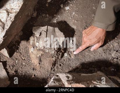 (170821) -- WENQUAN, 21. August 2017 -- Ein Pferdeschädel, Der in einer Siedlung gefunden wurde, wird im Wenquan County, Nordwestchinas Autonome Region Xinjiang Uygur, 20. August 2017, festgestellt. Mehr als 50 Experten der Staatlichen Verwaltung des Kulturerbes, des Instituts für Archäologie der Chinesischen Akademie der Sozialwissenschaften und der Peking-Universität nahmen an einem Symposium im Kreis Wenquan Teil, in dem sie erkannten, dass die Siedlung, die aus Gräbern und Ruinen von Wohngebäuden bestand, bis vor 3600 Jahren zurückreicht. Gegenstände und Ruinen, die seit 2016 in der Siedlung entdeckt wurden, boten einen wichtigen Wert für die Menschen Stockfoto