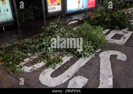(170823) -- HONG KONG, 23. August 2017 -- Baumzweige werden auf einer Straße in Hong Kong, Südchina, 23. August 2017 gesehen. Hato, der 13. Taifun, der China in diesem Jahr getroffen hat, landete am Mittwoch Mittag in der Stadt Zhuhai in der südchinesischen Provinz Guangdong. Beeinflusst durch die äußere Regenbande von Hato, beeinflusste starker Wind und Regen Hongkong und eine tropische Zyklonwarnung wurde vom Hong Kong Observatory ausgegeben. (wyl) CHINA-HONG KONG-TYPHOON HATO (CN) LixPeng PUBLICATIONxNOTxINxCHN Hong KONG 23. August 2017 Baumzweige sind Seen AUF einer Straße in Hong Kong Südchina 23. August 2017 Hato der 13. Typhoon nach H Stockfoto