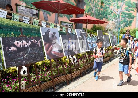 (170824) -- HONG KONG, 24. August 2017 -- Kinder besuchen die Ausstellung Born in China Live in Sichuan Riesen-Panda im Hong Kong Ocean Park in Hong Kong, Südchina, 24. August 2017. Die Ausstellung zeigte Sichuans gute ökologische Umwelt und Errungenschaften im Schutz von Riesenpandas. ) (Mcg) CHINA-HONG KONG-GIGANT PANDA-AUSSTELLUNG (CN) QinxQing PUBLICATIONxNOTxINxCHN Hong KONG 24. August 2017 Kinder besuchen die Born in China Live in Sichuan Giant Panda Ausstellung IM Hong Kong Ocean Park in Hong Kong Südchina 24. August 2017 die Ausstellung zeigte Sichuan S Good Ecological Environment und Stockfoto