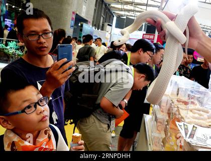 (170824) -- SHANGHAI, 24. August 2017 -- Eine Schlange (elaphe obsoleta) wird auf der PET Fair Asia 2017 in Shanghai, der ostchinesischen Gemeinde Shanghai, am 24. August 2017 gesehen. Die PET Fair Asia 2017 startete am Donnerstag im Shanghai New International Expo Center, an dem 950 Aussteller aus aller Welt teilnahmen. ) (Xzy) CHINA-SHANGHAI-ASIAN PET EXHIBITION (CN) ChenxFei PUBLICATIONxNOTxINxCHN SHANGHAI 24. August 2017 eine Schlange Elaphe obsoleta IST Seen AUF der PET Fair Asia 2017 in Shanghai East China S Shanghai Municipality 24. August 2017 die PET Fair Asia 2017 startete auf DER Shanghai New International EXPO CE Stockfoto