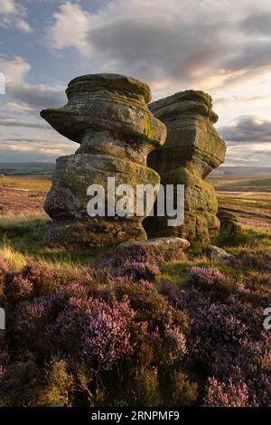 Jenny Twigg und ihre Tochter Tibb, Felsformationen am Fountains Earth Moor, Sypeland, mit Blick auf das Nidd Valley, in der Nähe von Lofthouse, Nidderdale, North Y Stockfoto