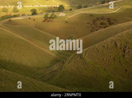 Herbstfarben in Dowber Gill, oberhalb von Kettlewell, Wharfedale, Yorkshire Dales, North Yorkshire, UK. Stockfoto