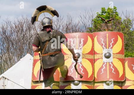 Ein römischer Centurion inspiziert die Schildmauer seiner Legionäre Stockfoto