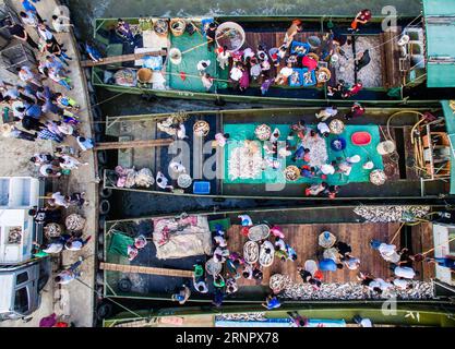 (170910) -- PEKING, 10. Sept. 2017 -- die Menschen wählen den neu ernteten Fisch auf Fischerbooten im Xintangcun Fischerhafen im Changxing County, Ostchinesische Provinz Zhejiang, 9. Sept. 2017. Seit Anfang September beginnt die zwanzigtägige Fangsaison am Taihu-See, einem der fünf größten Binnenseen Chinas. ) WÖCHENTLICHE AUSWAHL VON XINHUA PHOTO XuxYu PUBLICATIONxNOTxINxCHN Stockfoto