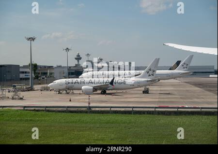 25.07.2023, Singapur, Republik Singapur, Asien - Singapore Airlines Passagierflugzeuge in Star Alliance Lackierung werden am Flughafen Changi geparkt. Stockfoto