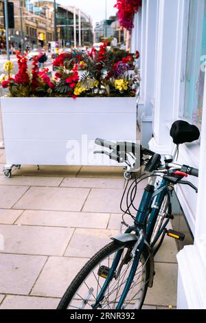 Modernes Fahrrad an der Wand mit einem Blumentopf mit bunten Blumen dahinter. Eine der Hauptstraßen von Edinburghs New Town im Hintergrund Stockfoto