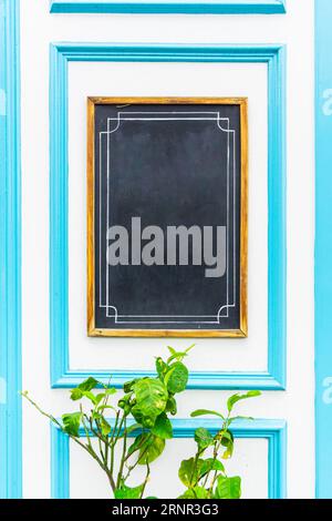 Leere vertikale Tafel, eingerahmt in braunem, weißem und hellblauem Holz. Eine natürliche Pflanze mit grünen Blättern am Boden. Vertikale Aufnahme mit Kopierraum. Stockfoto