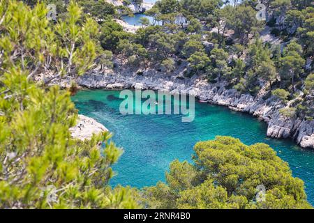 Die Calancues in südfrankreich mit ihren beeindruckenden Felsen, kristallklarem Wasser und schöner Flora. Stockfoto