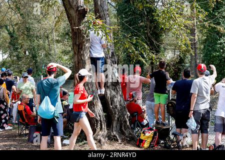 Monza, Italien. September 2023. Zuschauer, F1 Grand Prix of Italy beim Autodromo Nazionale Monza am 2. September 2023 in Monza, Italien. (Foto von HIGH TWO) Credit: dpa/Alamy Live News Stockfoto