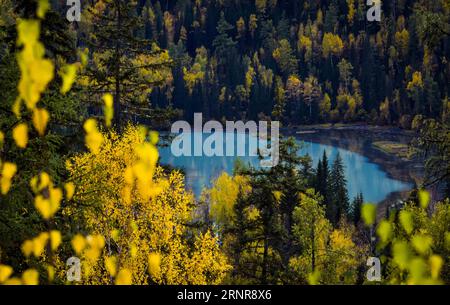 (170923) -- KANAS, 23. Sept. 2017 -- Foto aufgenommen am 22. Sept. 2017 zeigt die Herbstlandschaft des Yueliang River in der Kanas Scenic Area, nordwestchinesische Autonome Region Xinjiang Uygur. ) (Ry) CHINA-XINJIANG-KANAS-HERBSTLANDSCHAFT (CN) ZhaoxGe PUBLICATIONxNOTxINxCHN Stockfoto