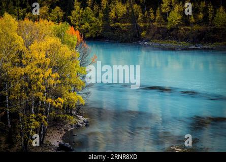 (170923) -- KANAS, 23. Sept. 2017 -- Foto aufgenommen am 22. Sept. 2017 zeigt die Herbstlandschaft des Wolong River in der Kanas Scenic Area, nordwestchinesische Autonome Region Xinjiang Uygur. ) (Ry) CHINA-XINJIANG-KANAS-HERBSTLANDSCHAFT (CN) ZhaoxGe PUBLICATIONxNOTxINxCHN Stockfoto