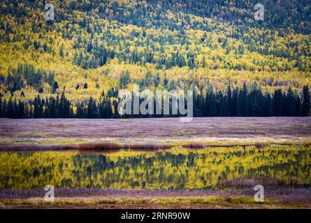 (170923) -- KANAS, 23. September 2017 -- Foto aufgenommen am 22. September 2017 zeigt die Herbstlandschaft des Yaze Lake in der Kanas Scenic Area, Nordwestchinas autonome Region Xinjiang Uygur. ) (Ry) CHINA-XINJIANG-KANAS-HERBSTLANDSCHAFT (CN) ZhaoxGe PUBLICATIONxNOTxINxCHN Stockfoto