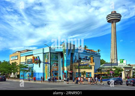 Niagara Falls, Kanada - 13. August 2022: Margaritaville Restaurant und Bar auf Fallsview Blvd ist eine der beliebtesten Ketten von Restaurants mit zwangloser Atmosphäre Stockfoto