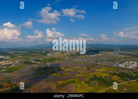 (170925) -- NANNING, 25. September 2017 -- Ein Hochgeschwindigkeitszug fährt auf den Feldern von Liuzhou City, Südchinas autonome Region Guangxi Zhuang, 6. August 2017. China hat in nur wenigen Jahren eines der weltweit umfangreichsten Hochgeschwindigkeitsbahnnetze aufgebaut. Es verfügt über das weltweit längste Hochgeschwindigkeitsbahnnetz, 22.000 km bis Ende 2016 oder 60 % der weltweiten Gesamtstrecke, und die Kilometerleistung wird bis 2030 auf 45.000 km steigen. Guangxi schloss sich 2013 den Hochgeschwindigkeitsbahnnetzen an. ) (wyl) CHINA-GUANGXI-HOCHGESCHWINDIGKEITSBAHN (CN) HuangxXiaobang PUBLICATIONxNOTxINxCHN Stockfoto