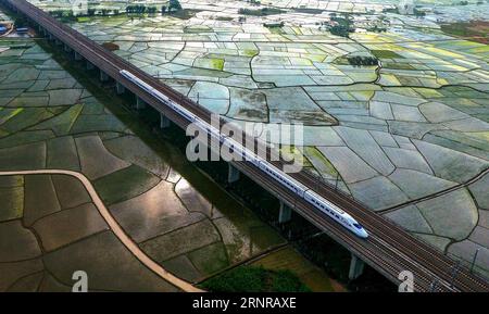 (170925) -- NANNING, 25. September 2017 -- Ein Hochgeschwindigkeitszug fährt auf den Feldern des Bezirks Binyang, Südchinas autonome Region Guangxi Zhuang, 16. April 2017. China hat in nur wenigen Jahren eines der weltweit umfangreichsten Hochgeschwindigkeitsbahnnetze aufgebaut. Es verfügt über das weltweit längste Hochgeschwindigkeitsbahnnetz, 22.000 km bis Ende 2016 oder 60 % der weltweiten Gesamtstrecke, und die Kilometerleistung wird bis 2030 auf 45.000 km steigen. Guangxi schloss sich 2013 den Hochgeschwindigkeitsbahnnetzen an. ) (wyl) CHINA-GUANGXI-HOCHGESCHWINDIGKEITSBAHN (CN) HuangxXiaobang PUBLICATIONxNOTxINxCHN Stockfoto