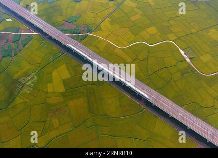 (170925) -- NANNING, 25. September 2017 -- Ein Hochgeschwindigkeitszug fährt in Liuzhou City, Südchinas autonome Region Guangxi Zhuang, 15. Juli 2017. China hat in nur wenigen Jahren eines der weltweit umfangreichsten Hochgeschwindigkeitsbahnnetze aufgebaut. Es verfügt über das weltweit längste Hochgeschwindigkeitsbahnnetz, 22.000 km bis Ende 2016 oder 60 % der weltweiten Gesamtstrecke, und die Kilometerleistung wird bis 2030 auf 45.000 km steigen. Guangxi schloss sich 2013 den Hochgeschwindigkeitsbahnnetzen an. ) (wyl) CHINA-GUANGXI-HOCHGESCHWINDIGKEITSBAHN (CN) LixXin PUBLICATIONxNOTxINxCHN Stockfoto