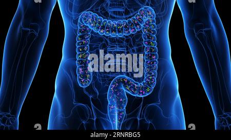 Mikrobiom, Abbildung Stockfoto