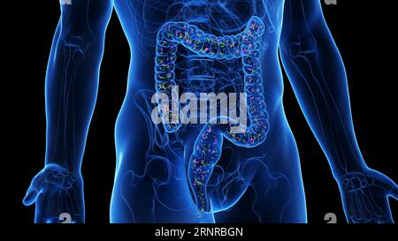 Mikrobiom, Abbildung Stockfoto