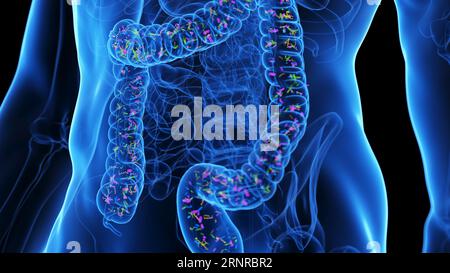Mikrobiom, Abbildung Stockfoto