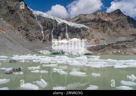 Schmelzender Gletscher in der Berglandschaft, hoher Wasserfall und See (Fellaria-Gletscher, Valmalenco, italienische Alpen). Globale Erwärmung und Klimawandel. Stockfoto