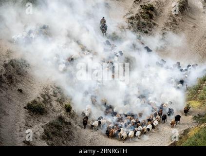 (171001) -- PEKING, 1. Oktober 2017 -- Ein Hirte treibt Schafe und Rinder in der Autonomen Präfektur Ili Kazak, Nordwestchinas Autonome Region Xinjiang Uygur, 27. September 2017. ) XINHUA FOTO WÖCHENTLICHE AUSWAHL LaixYuning PUBLICATIONxNOTxINxCHN Stockfoto