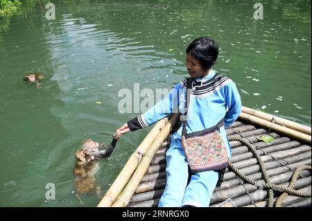 (171001) -- PEKING, 1. Oktober 2017 -- Pan Huifen füttert einen Affen auf einem Boot im Naturschutzgebiet Longhu Mountain in Long an County, südchinesische autonome Region Guangxi Zhuang, 27. September 2017. ) XINHUA FOTO WÖCHENTLICHE AUSWAHL LuxBoan PUBLICATIONxNOTxINxCHN Stockfoto