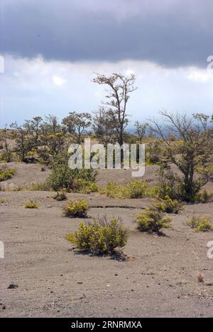 Kilauea Summit im Hawaii Volcanoes National Park, UNESCO-Weltkulturerbe, Big Island, Hawaii, USA. 11.04.2010 Stockfoto