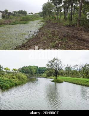 (171013) -- WUXI, 13. Oktober 2017 -- Combo Foto aufgenommen am Juni. 24, 2016 (oben, Foto) und am 12. Oktober 2017 (unten) zeigt der Gujiadu-Fluss im Bezirk Binhu von Wuxi, der ostchinesischen Provinz Jiangsu. Der Bezirk Binhu begann 2008, lokale Regierungsbeamte als Flusschefs zu ernennen, um die Wasserverschmutzung zu bekämpfen. Die Qualität des Flusswassers wurde rasch verbessert, nachdem eine Reihe innovativer Maßnahmen ergriffen wurden. ) (lx) CHINA-JIANGSU-ENVIRONMENT-RIVER CHIEF(CN) ShenxBohan PUBLICATIONxNOTxINxCHN Stockfoto